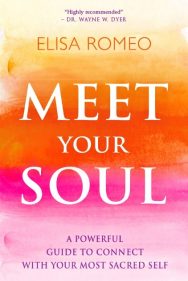 meet your soul book 