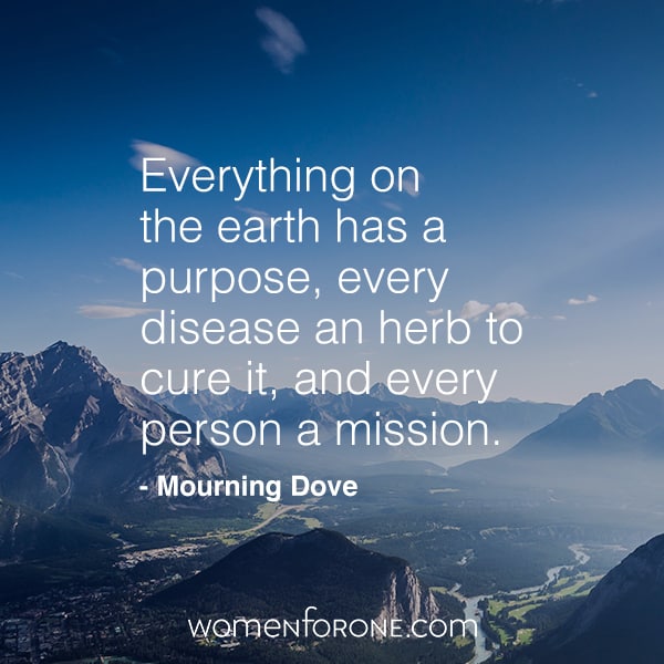 Everything on earth has a purpose, every disease an herb to cure it, and every person a mission. Mourning Dove