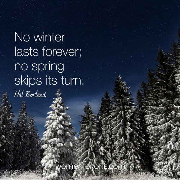 No winter lasts forever, no spring skips its turn.