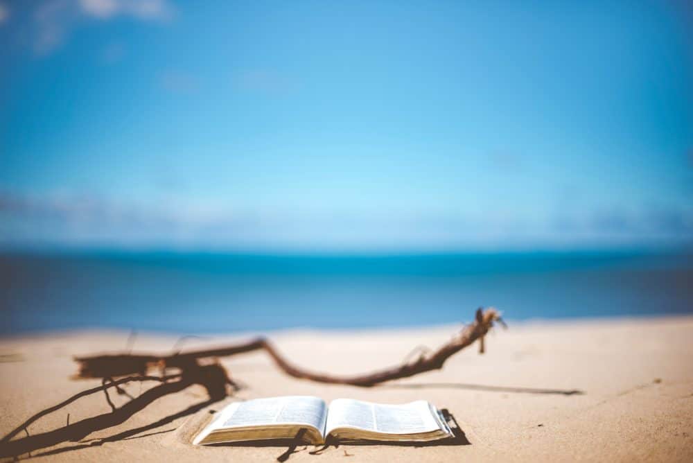 summer must read list author book beach
