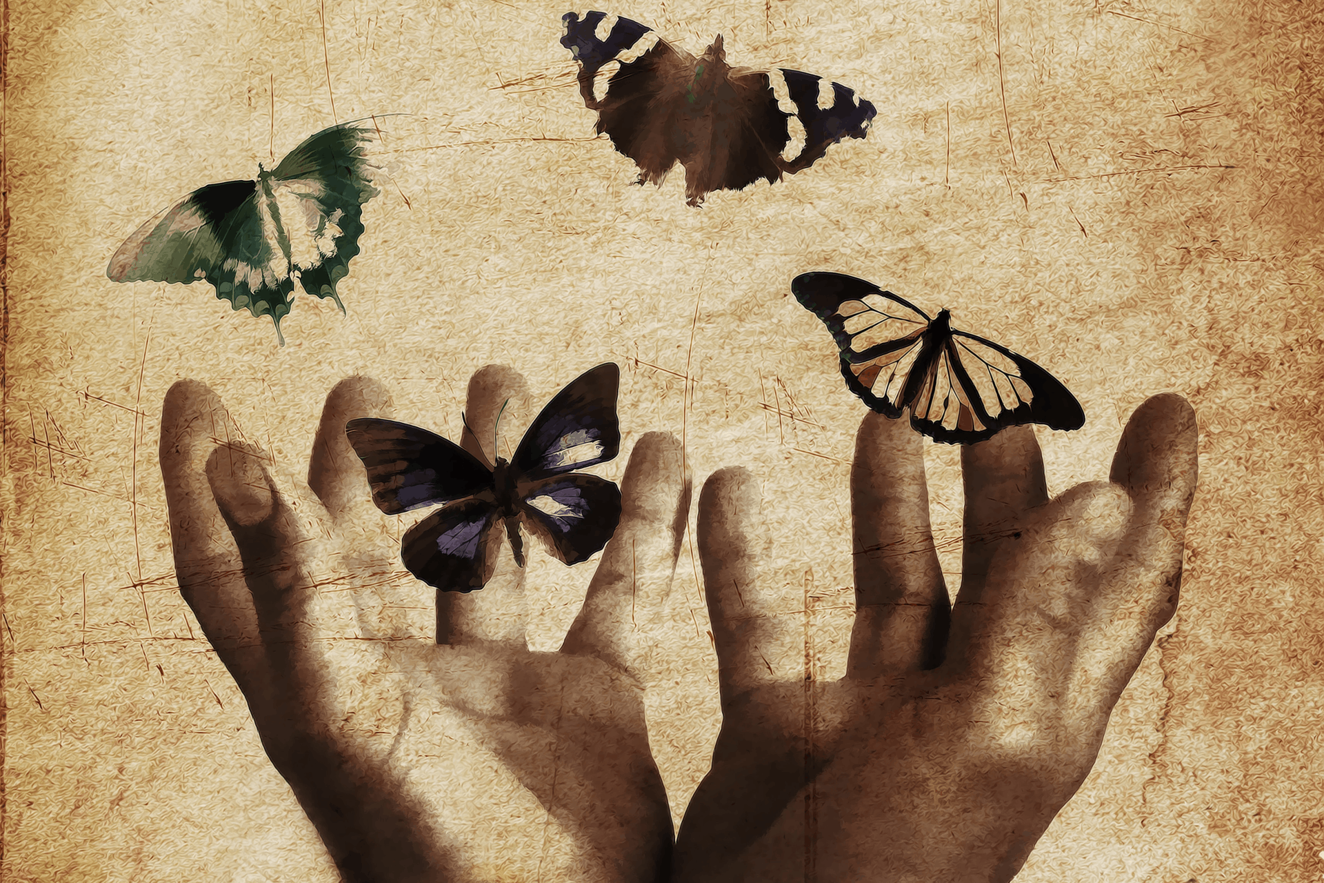 Butterfly hands. Dream Butterfly. Fear of Butterflies. Feeling butterflies